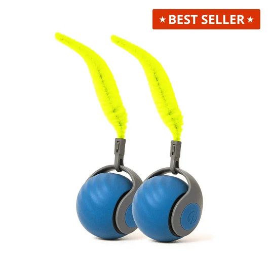 ZipBuddy™ (FREE Today) 00